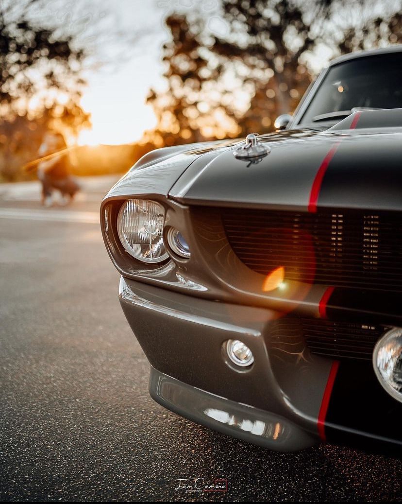 GT  #mustang #ford #gt #americanmuscle #shelby #mustanglife #stance #mustanggt #gt350 #gt500 buff.ly/4agYYYO