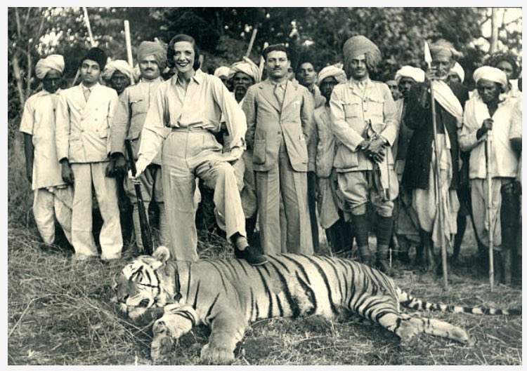 Maharani Ella Atherton of Rajpipla poses with a dead tiger during a hunting event in the Satpura forest (Gujarat).