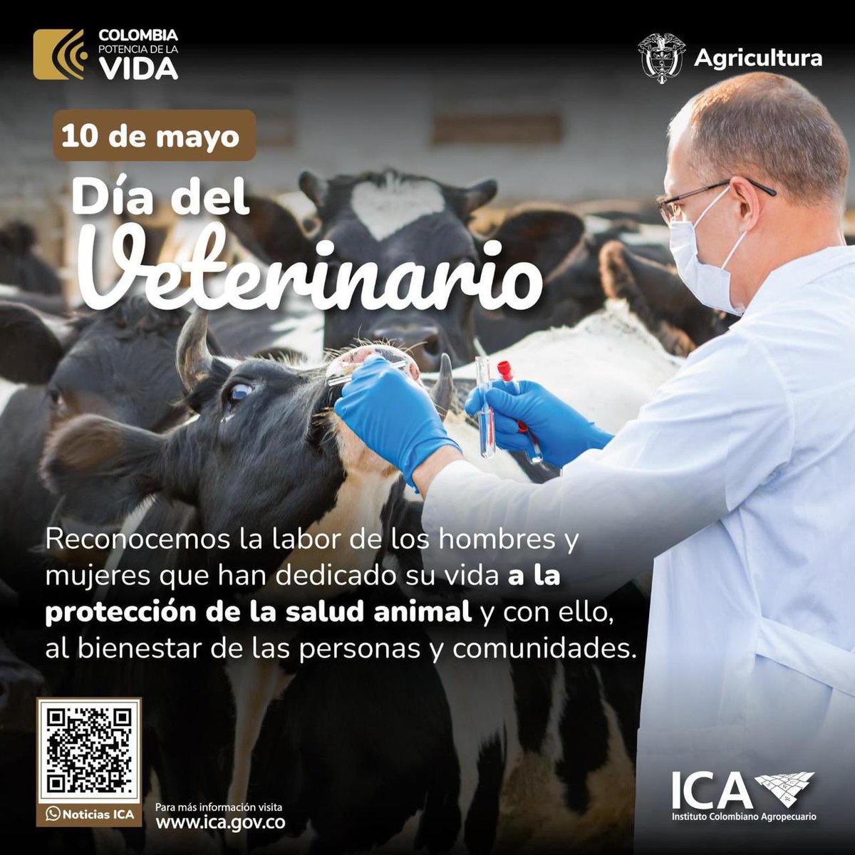 Gracias a todos los veterinarios por proteger 🛡 la vida de nuestros animales. ¡Feliz día! 🐱🐮🐴🐶