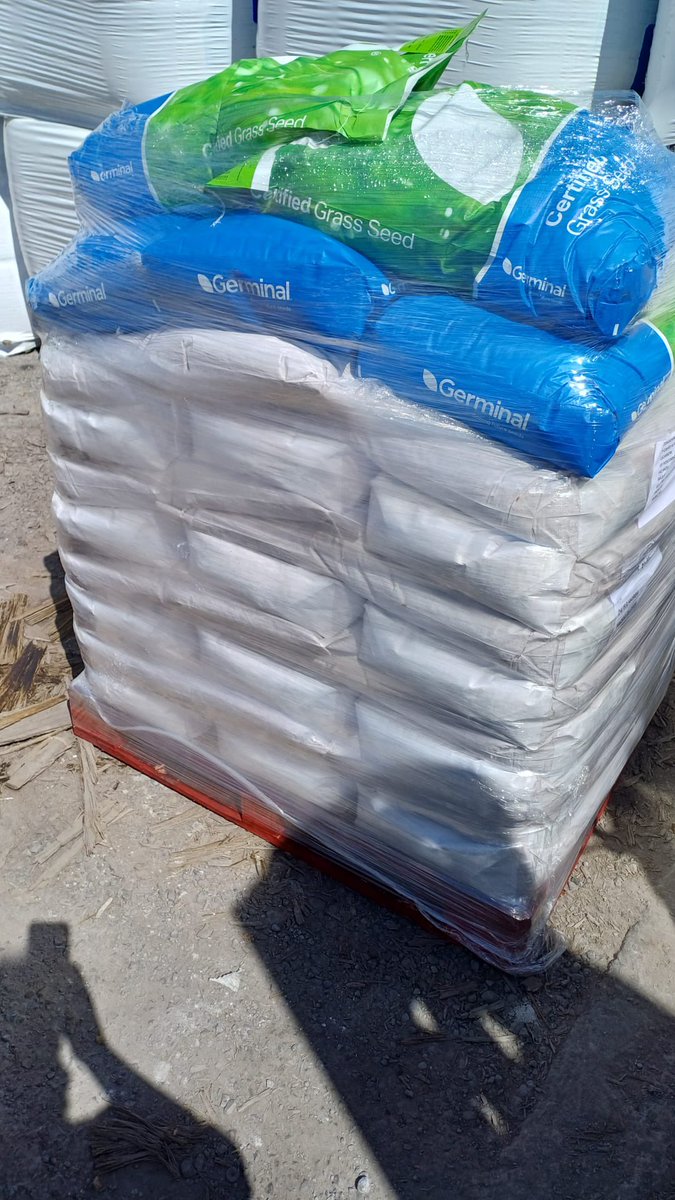 40 acres of Winter Bird Cover and 7 bags of a custom mix, ordered late Wednesday evening, delivered Friday a.m. - when it works, it works well!🛻👌
#happycustomer
#germinal