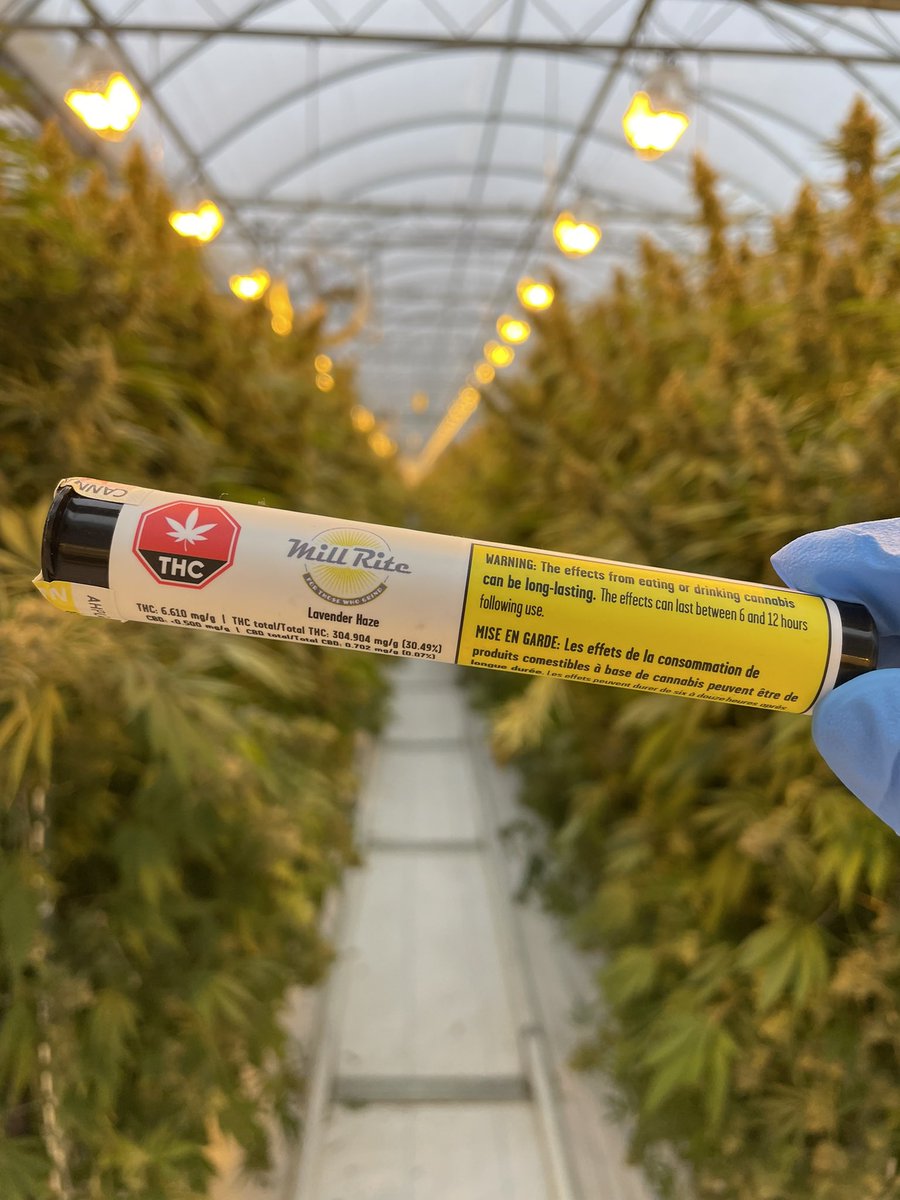 Our 2x0.5g pre-roll pack is the perfect way to share the love. Try our Lavender Haze today on the OCS.ca or at your local retailer!