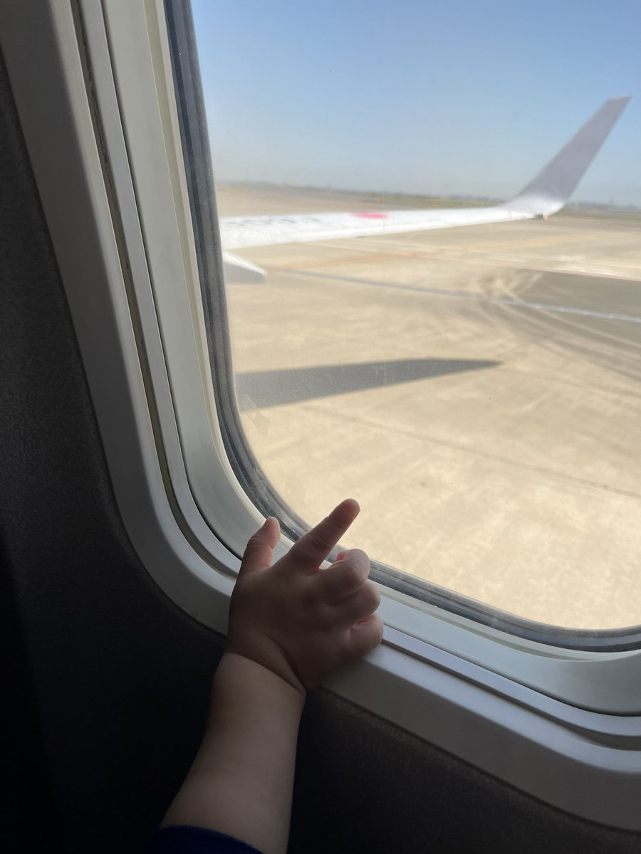 4m712boy's tweet photo. 1日目 #子連れ沖縄 三沢→羽田→那覇の約4時間飛行機移動✈️朝家を出たのは8時過ぎ那覇に着いたのは15時前。ほぼ1日移動コース。動きたい1歳児の飛行機移動しんどすぎ。昼寝をしてくれると見越してたけどせず…それでも那覇便は子連れも多くて多少グズられても大丈夫というメンタルでいられた！ https://t.co/BnVF1k4pyt
