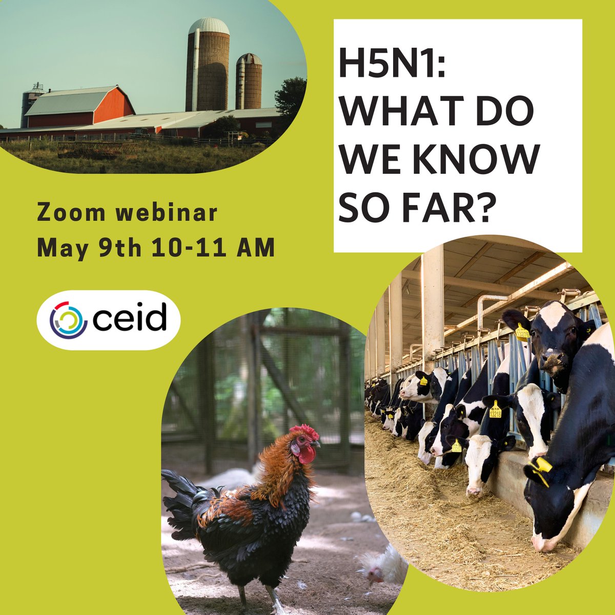 Yesterday @BhadeliaMD, Dr. John Connor, @JessicaLeibler, @sauer929, @KayokoShioda, & @alexvespi discussed what measures still need to be taken to limit the spread of #H5N1 & what is currently known about this virus.
Watch the full webinar recording here:
youtu.be/o1vJV8BeK-g