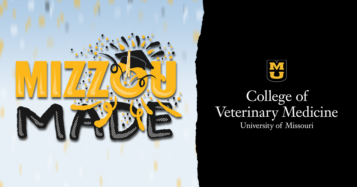 #Mizzou’s next commencement ceremony is for @MUCVM. The ceremony begins at 2 p.m. at Jesse Auditorium. Watch: brnw.ch/21wJFsi