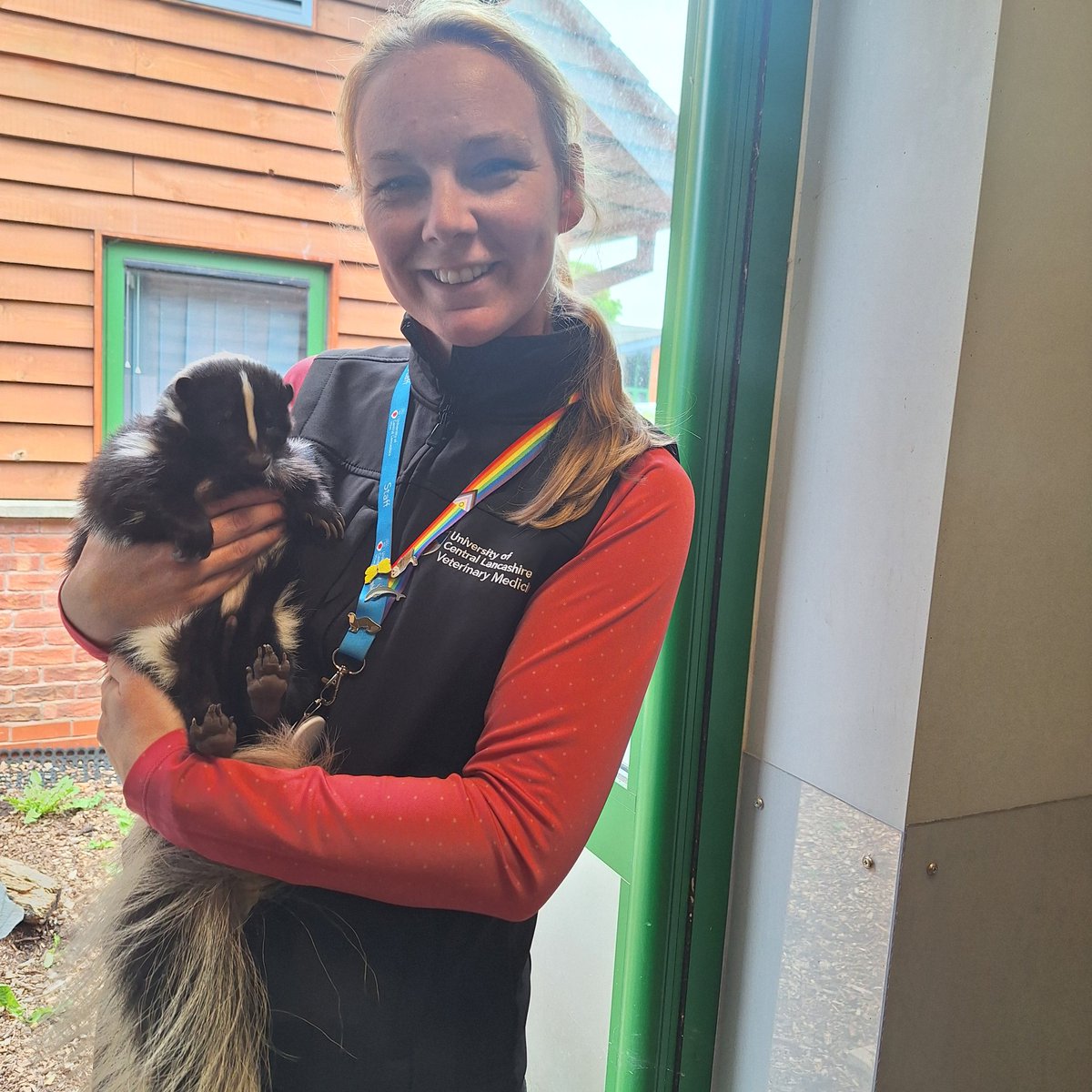 Great afternoon at work getting to visit clinical skills lessons at the partnership <a href="/MyerscoughColl/">Myerscough College & University Centre</a> , and getting to finally meet Alan the Skunk 🥰 Our BVMS students absolutely love the animal handling sessions that are embedded from year 1 #bvms #veterinary #uclan #uclanvets