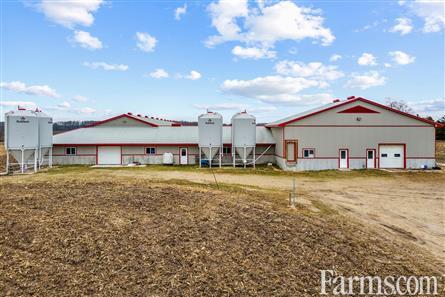 100 acre hog farm is up for grabs in Palmerston, Ontario 👀 The entire farm is systematically tiled at 40 ft and features 2 X 600 head, naturally ventilated, hog finishing barns — take a look: farms.com/farm-real-esta… #Swine #FarmForSale @farm_ontario