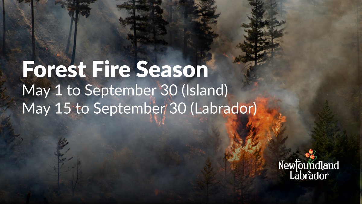 Forest Fire Season is now in effect throughout in Newfoundland & Labrador until Sept 30. A permit to burn is required to burn grass, brush & other material. Contact a forestry office: bit.ly/3MOvvch & use caution. #IAmFireSmart #nlwx #GovNL