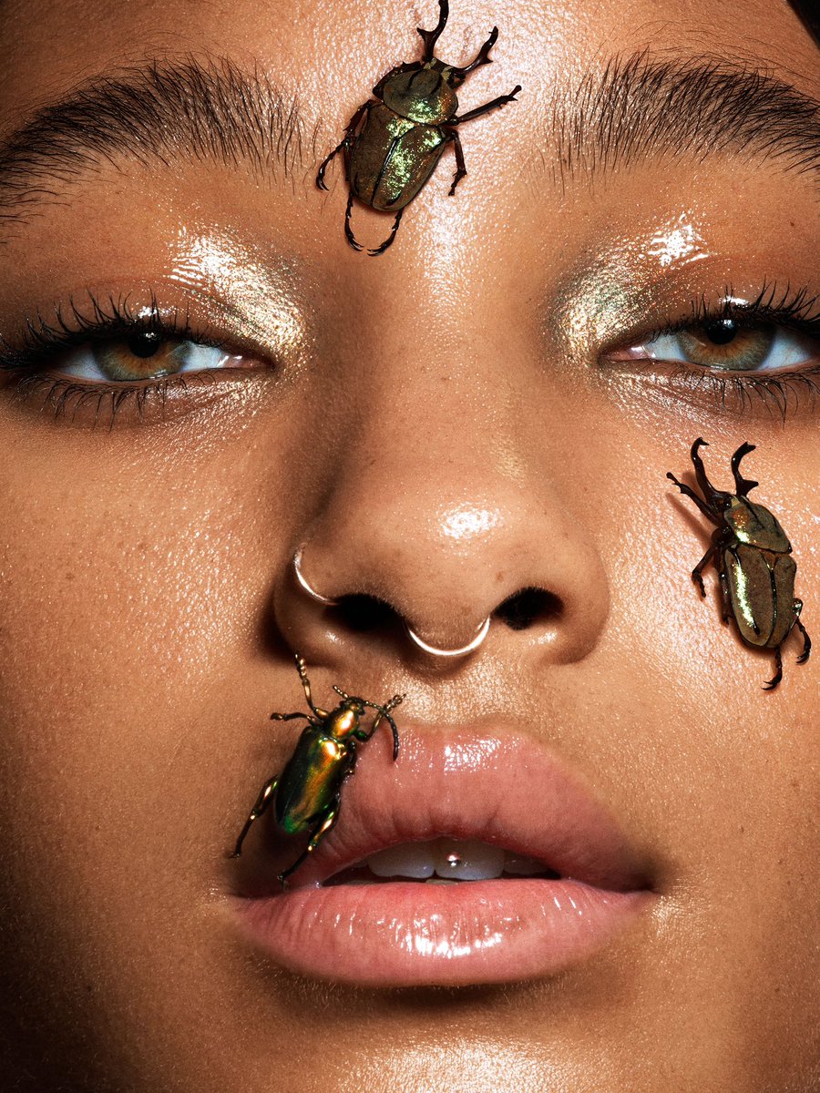 DOMEN & VAN DE VELDE tweet media