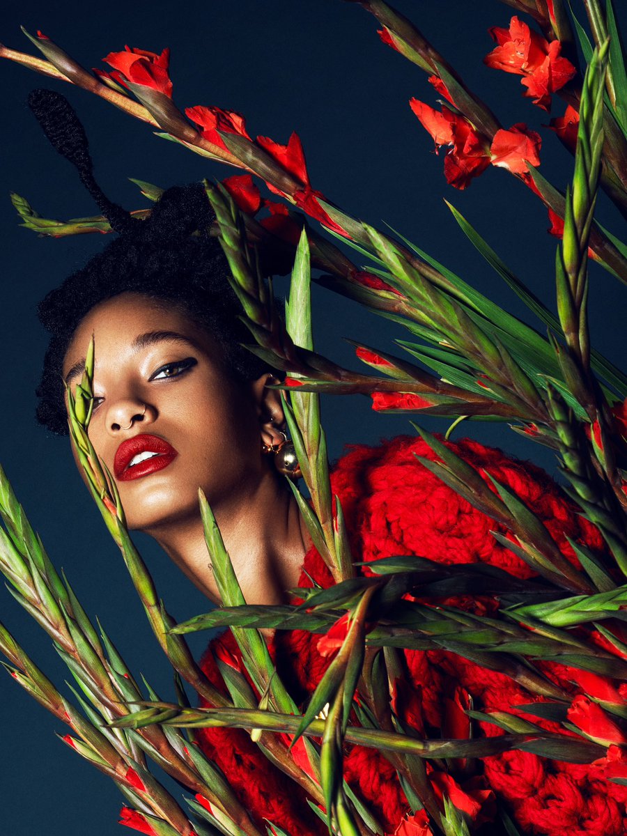 DOMEN & VAN DE VELDE tweet media