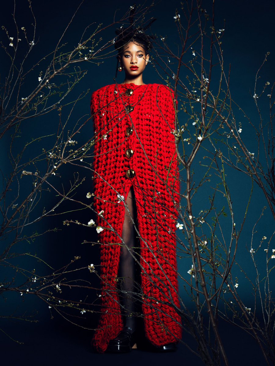 DOMEN & VAN DE VELDE tweet media