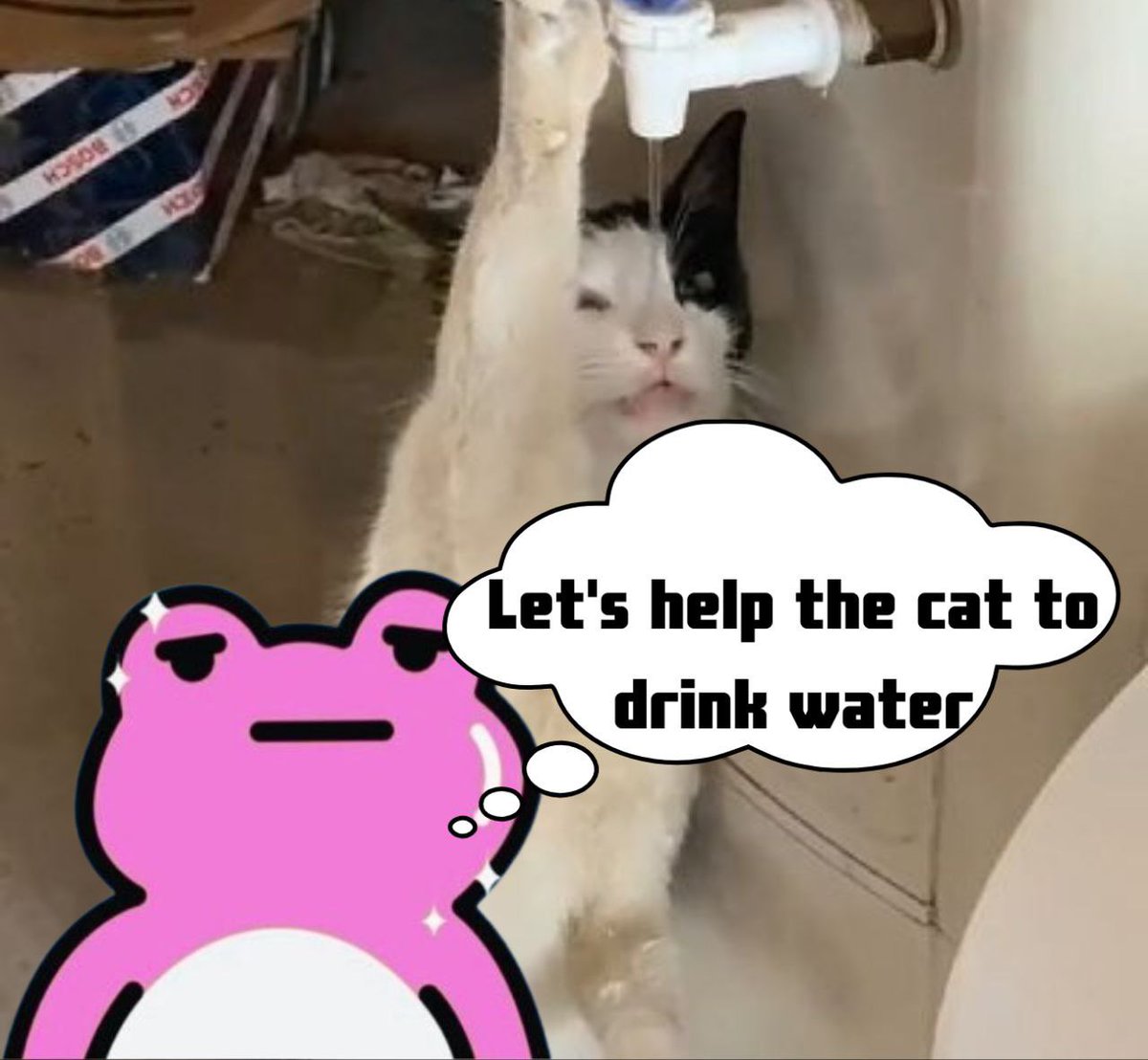 😂😂