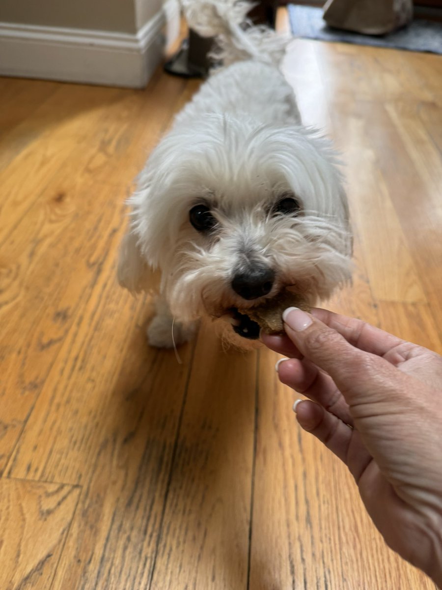 Treated myself to some goodies today at the <a href="/MHSRISE/">MHS RISE</a>  market today. Love them all!!
<a href="/mineola_septa/">MineolaSEPTA</a> 
<a href="/NaglersNotions/">Michael Nagler</a> 
<a href="/MineolaUFSD/">Mineola UFSD</a>