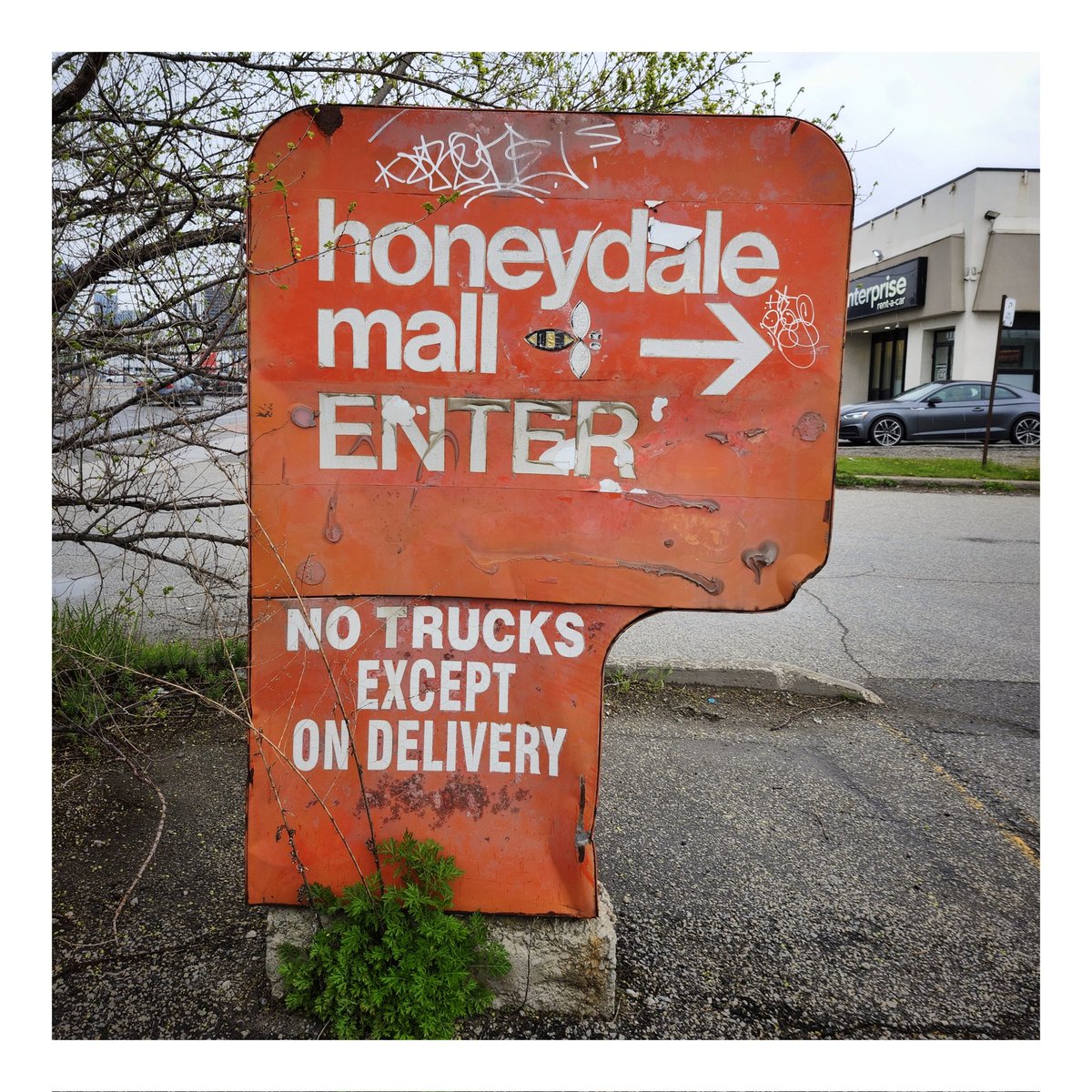 Honeydale Mall. #Toronto #DeadMall #Etobicoke #ShoppingMall #Woolco #DundasStreetWest #Signage #Photography
