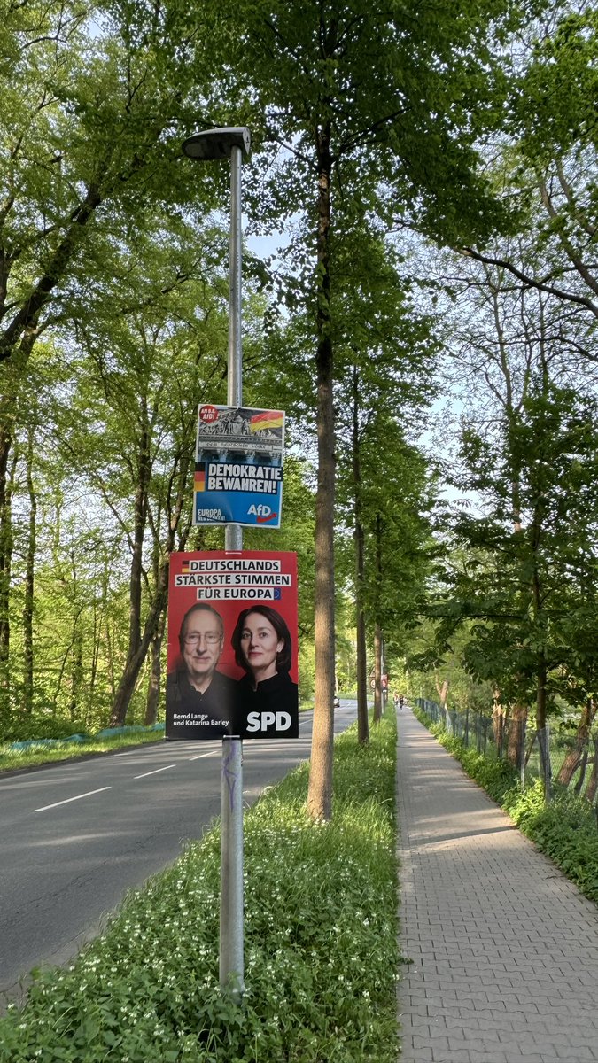 AfD Europa-Wahlkampf in Lüneburg. Läuft! 🇩🇪💙🇩🇪 #AfD #Europa2024 #Wahlkampf #MutzurWahrheit #niedersachsen #lueneburg