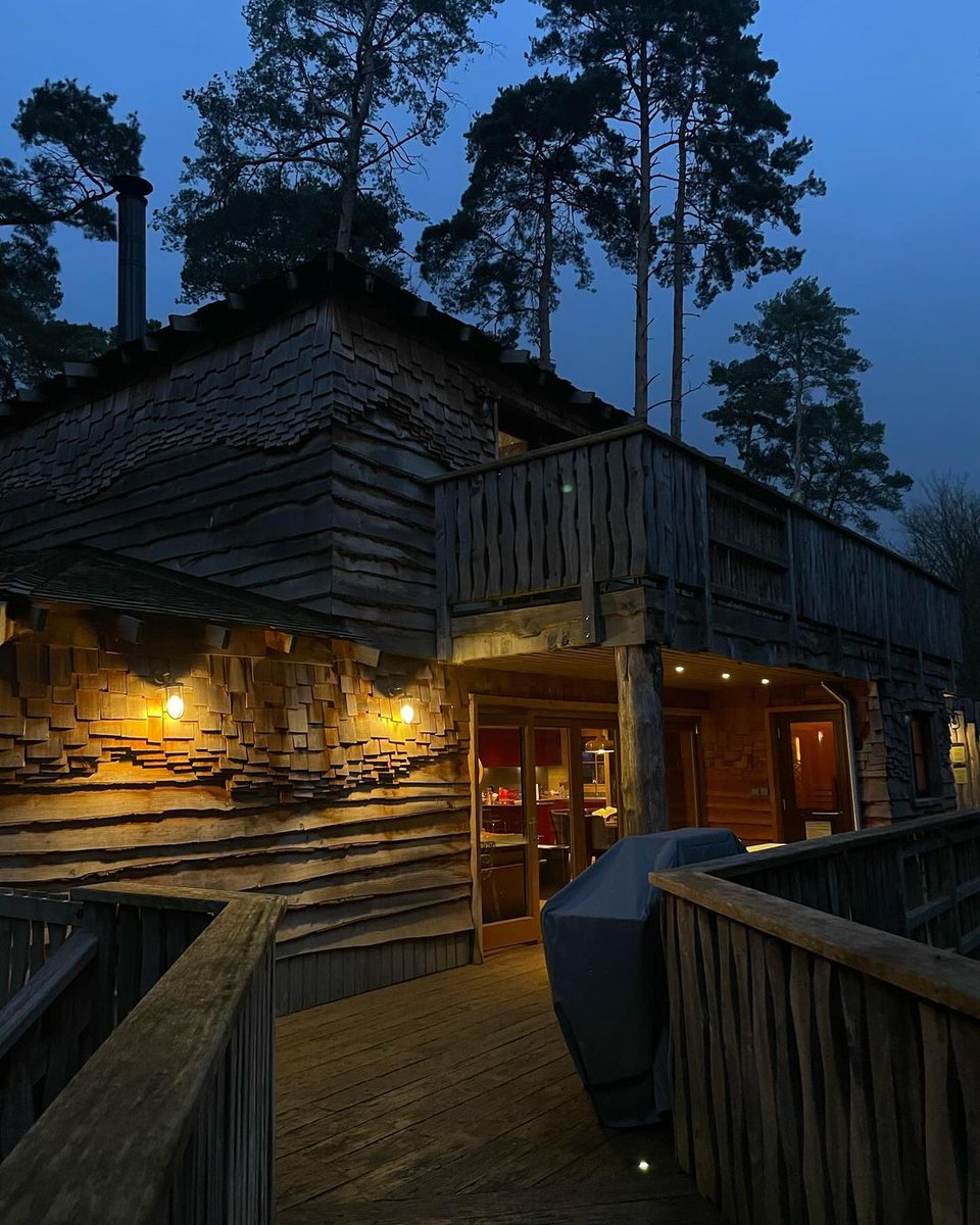 Treehouses + moonlight = magic ✨🤩 Would you stay here? 👇 📸 @ _lilyroseturner #MyCP