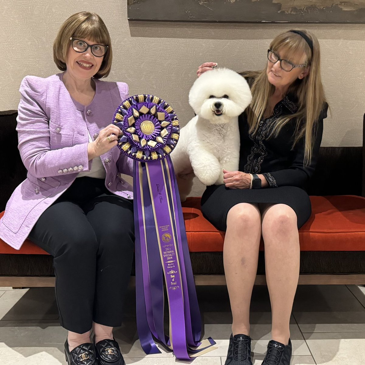You may know I'm CEO of @American_Heart, but for many years I've also sponsored Grand Champion show dogs - a hobby combining my passion for inspiring health & pet ownership. This Mon., May 13, join me on IG @NancyAtHeart as Kix, Neal, and Clark compete in @WKCDOGS in New York!