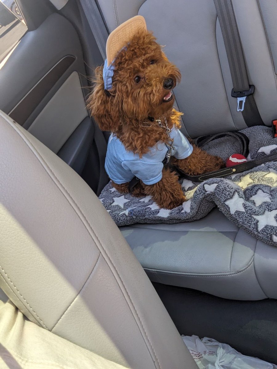 ImKayShay's tweet photo. @durandbernarr This is Shiloh Damani aka Shi-Money, or Baby Bad Ass when he’s being bad https://t.co/rkjEonE2MT