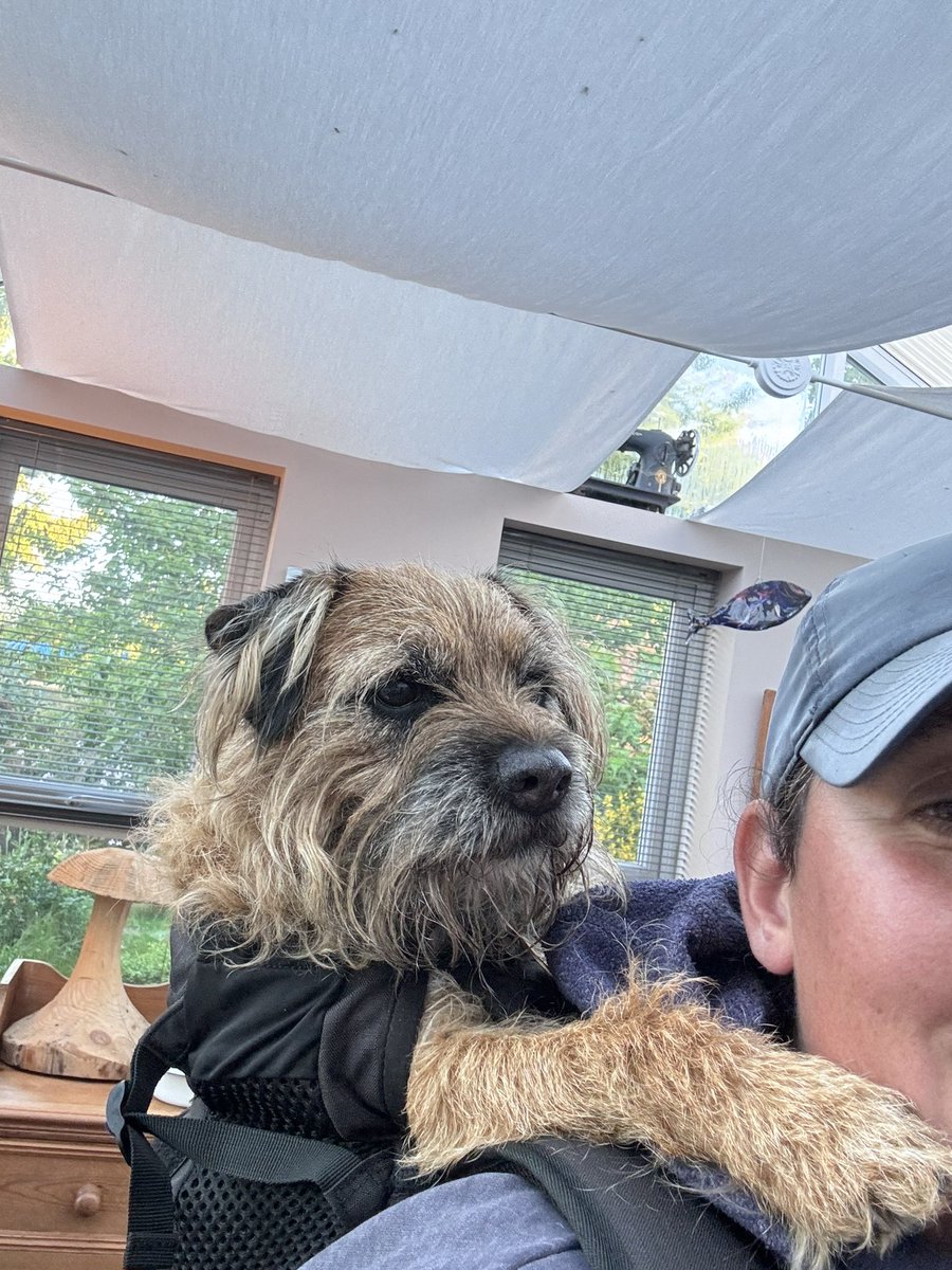 Carry me slave , @bthooligan sent me his old backpack that he neva got to use , apparently I’m a lump and don’t expect to be carried for 3 hours but loving seeing in all the top kitchen cupboards atm ! #btposse