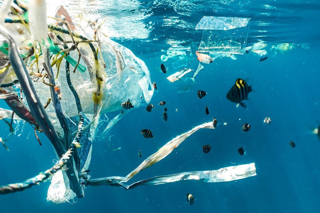 #CaboVerde e outros Pequenos Estados Insulares em Desenvolvimento sofrem com poluição plástica. Biodiversidade do país lusófono é afetada por lixo plástico vindo de 25 nações pelas correntes marinhas. news.un.org/pt/story/2024/…