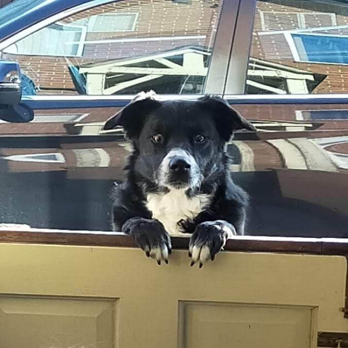 Dave Powell tweet media