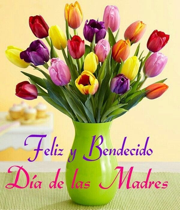sto_yeico's tweet photo. Feliz y bendecido día de las madres a todas y cada una de mis seguidoras que ya tienen esa dicha de ser madre y a cada una de las madres de este mundo, que el señor todo poderoso les bendiga siempre 🌺🌺🌺🌹🌹🌹🌹🌹 https://t.co/fJFtRQ8yW0