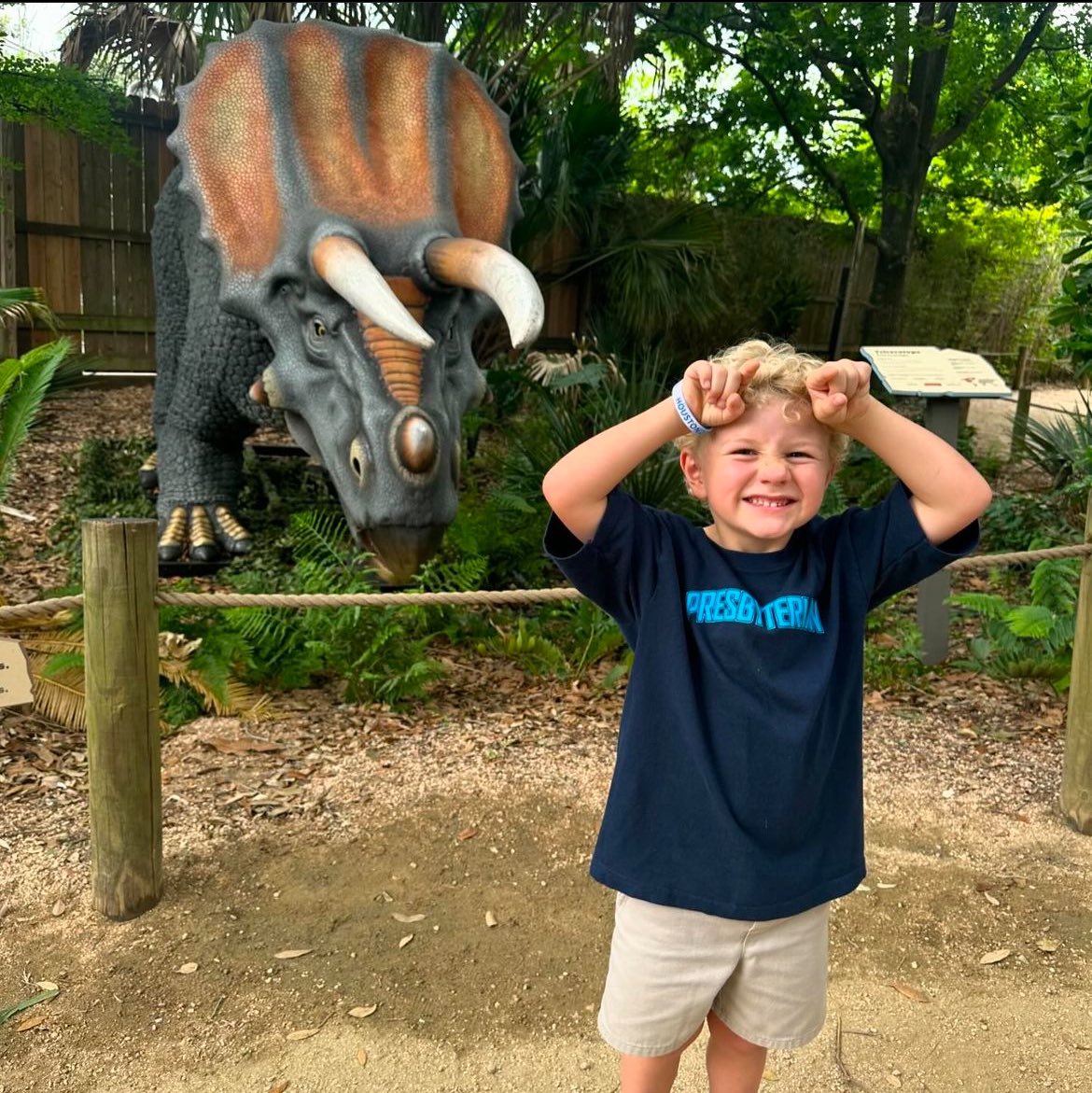 What’s your favorite dinosaur and why is it the Triceratops? 🤔 See what the roar is all about at TXU Energy presents Dinosaurs! See the animatronic versions of Triceratops, T-rex and more during your Zoo visit. Buy Value Pass at houstonzoo.org. 📸: @ the_b__boys