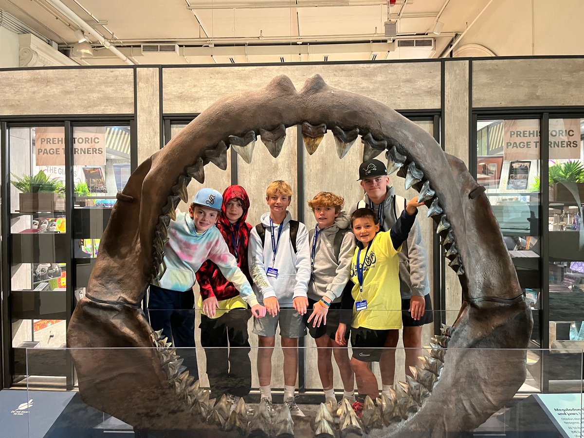msnataliehanlon's tweet photo. We ❤️ Shedd Aquarium! @shedd_aquarium #smschicago https://t.co/gHkXils9mu