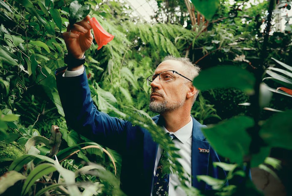 In the latest from @ElPais_America, check out the latest Spanish-language profile of our Chief Science Officer, @MauricioDiazgra—and work he does here in NYC and around the globe to study the plants of our world. brnw.ch/21wJFxo