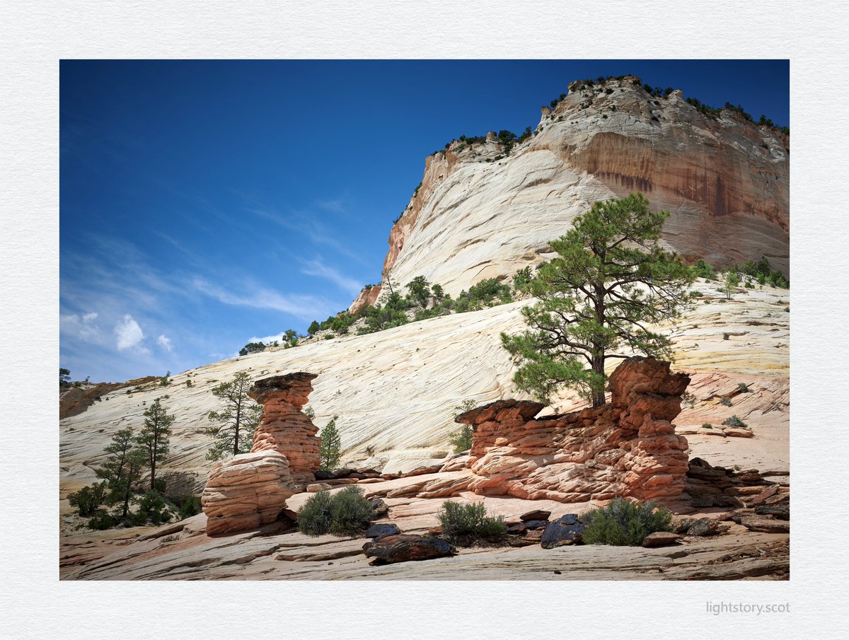 Zion National Park, Utah #landscape #landscapephotography #Nikon @UKNikon