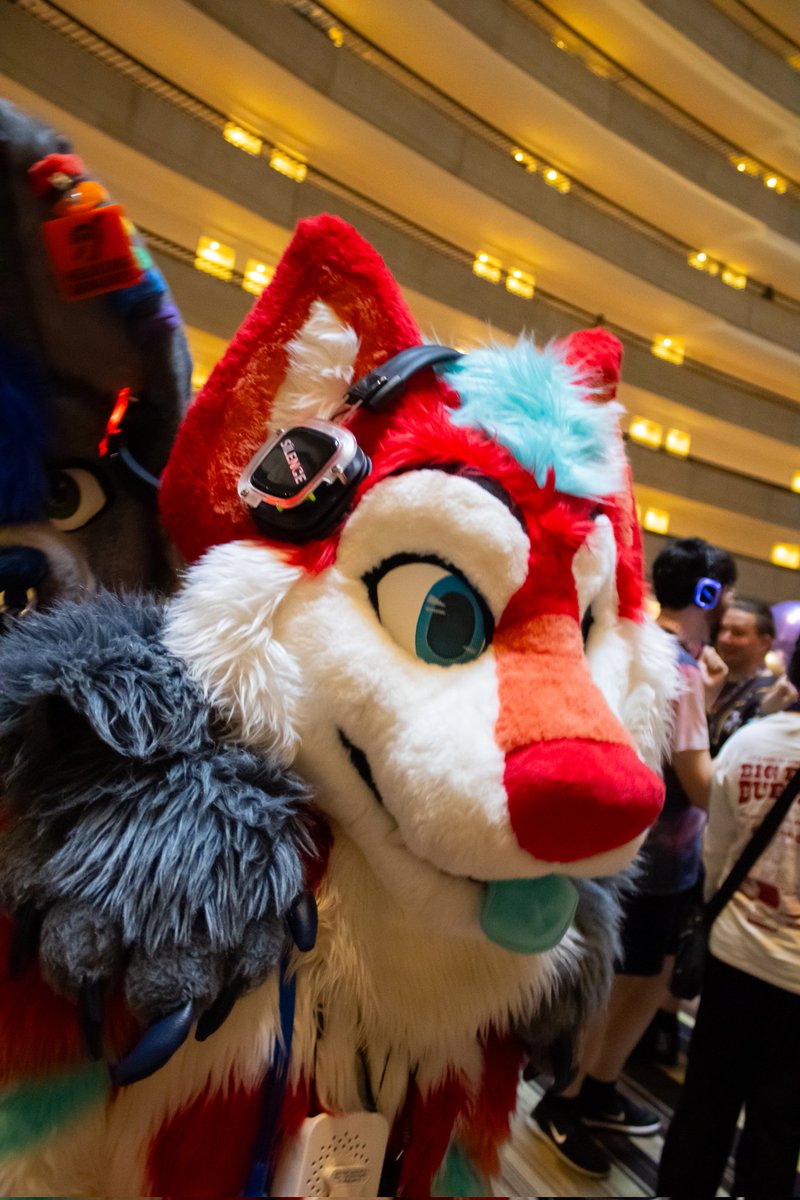 It's #FursuitFriday at #FWA &amp; I'm foxmaxxing