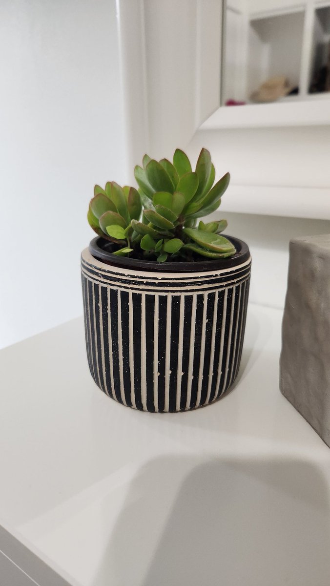 Loving the new plant I got from the <a href="/MontcalmCougars/">Montcalm Cougars</a> plant sale which is on this weekend!