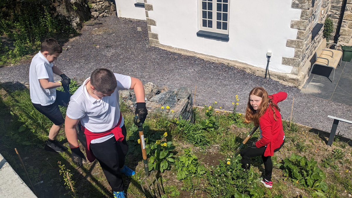 Wild Elements tweet media