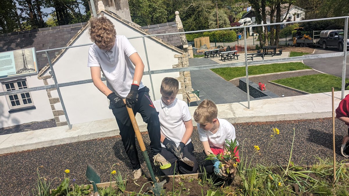 Wild Elements tweet media