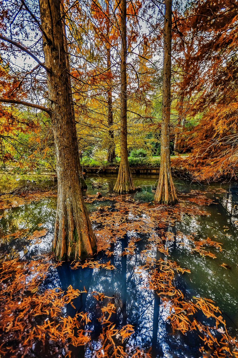 💭 Şu fotoyu tam 10 sene önce Atatürk Arboretumunda çekmiştim, dün gibi hatırlıyorum. Zaman çok hızlı akıyor..