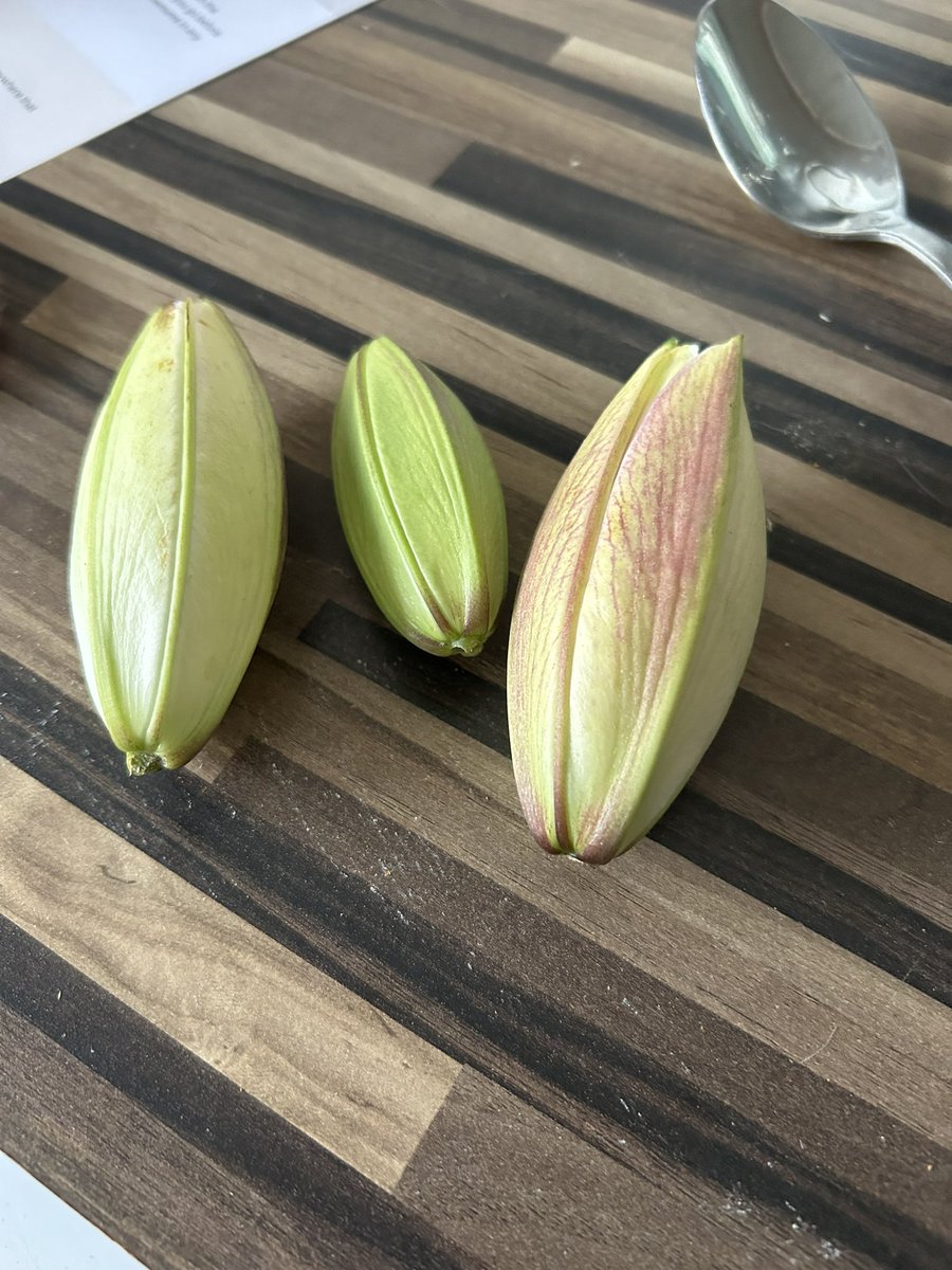 dianneksharp's tweet photo. @BloomandWild dared to treat myself but disappointed so far  - hope the next batch is better 😞 https://t.co/KiXFTTmtPm