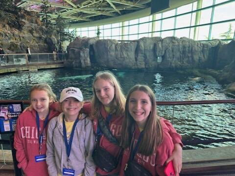 MsChelseaCicero's tweet photo. We ❤️ Shedd! #smschicago https://t.co/KDATKz3AZ1