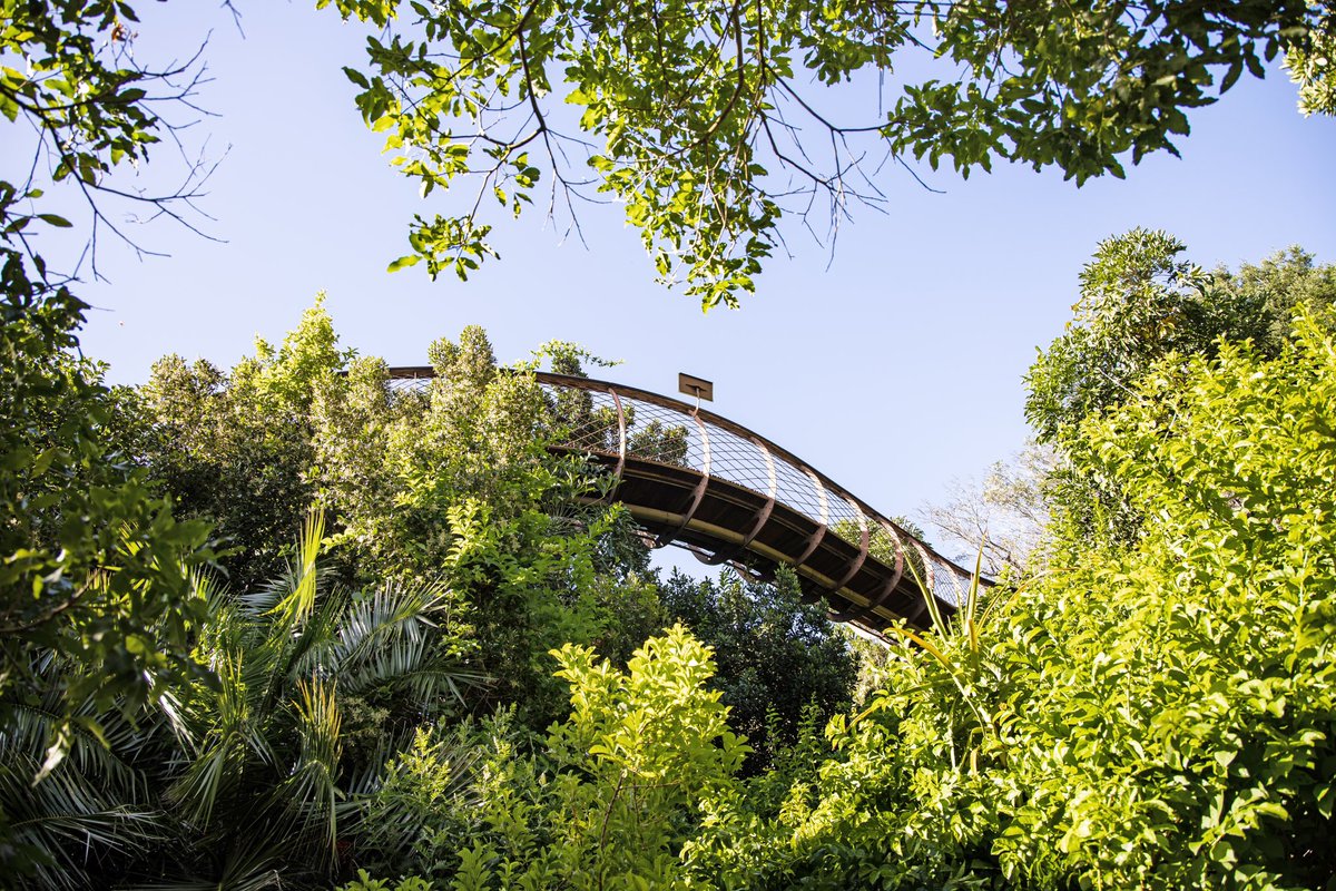 Kirstenbosch National Botanical Garden awaits with its breathtaking landscapes, perfect for nature lovers & adventure seekers alike! Enjoy FREE guided tours departing from Gate 1 (Visitors' Centre) at 10h00, 11h00 & 14h00, Monday to Friday🗺️🌳. #KirstenboschNBG #CapeTownBig6