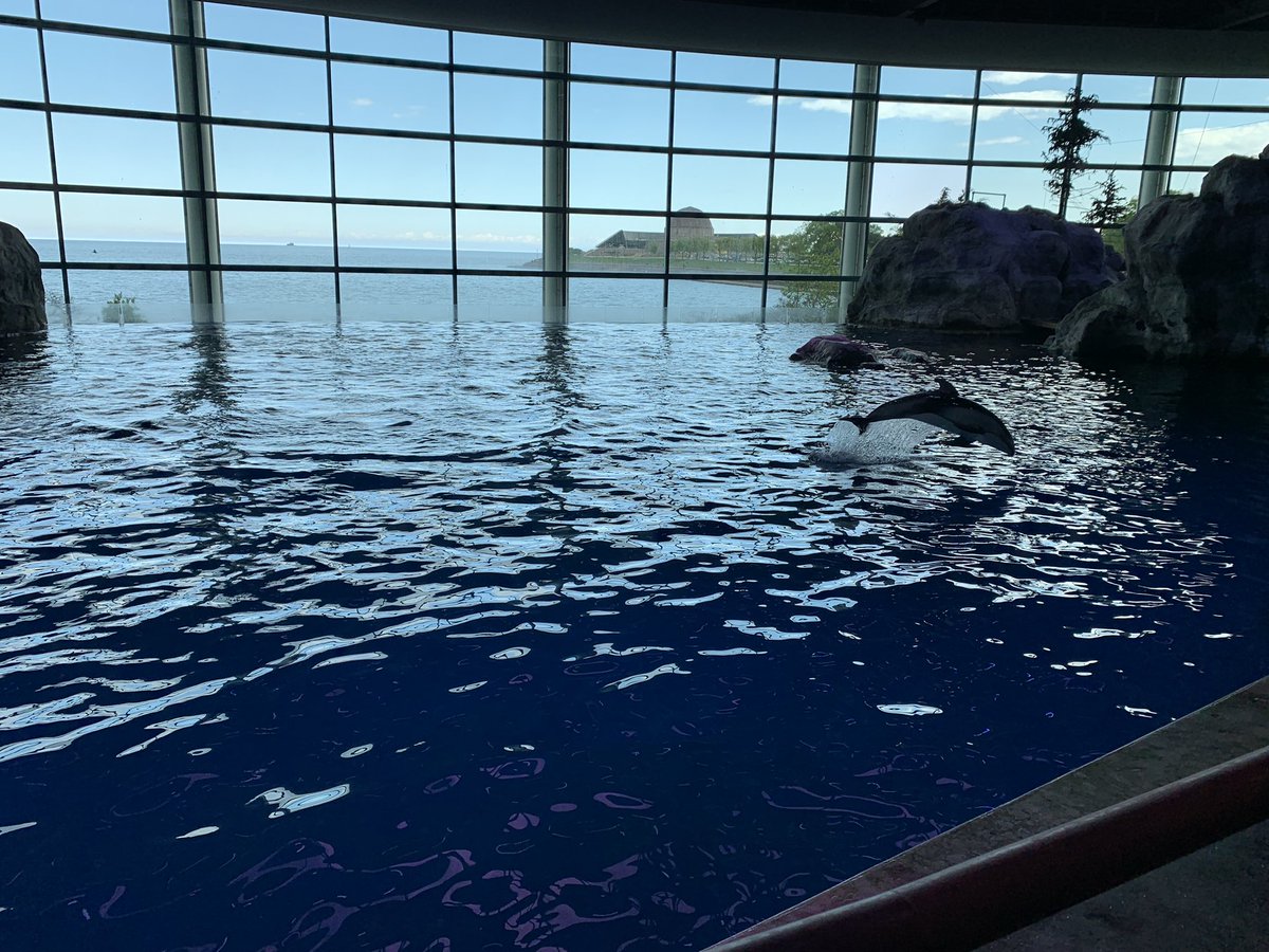 MrFosterSMS's tweet photo. ATTRACTION #10
SHEDD AQUARIUM
#SMSChicago https://t.co/Uwbg4TAT7c