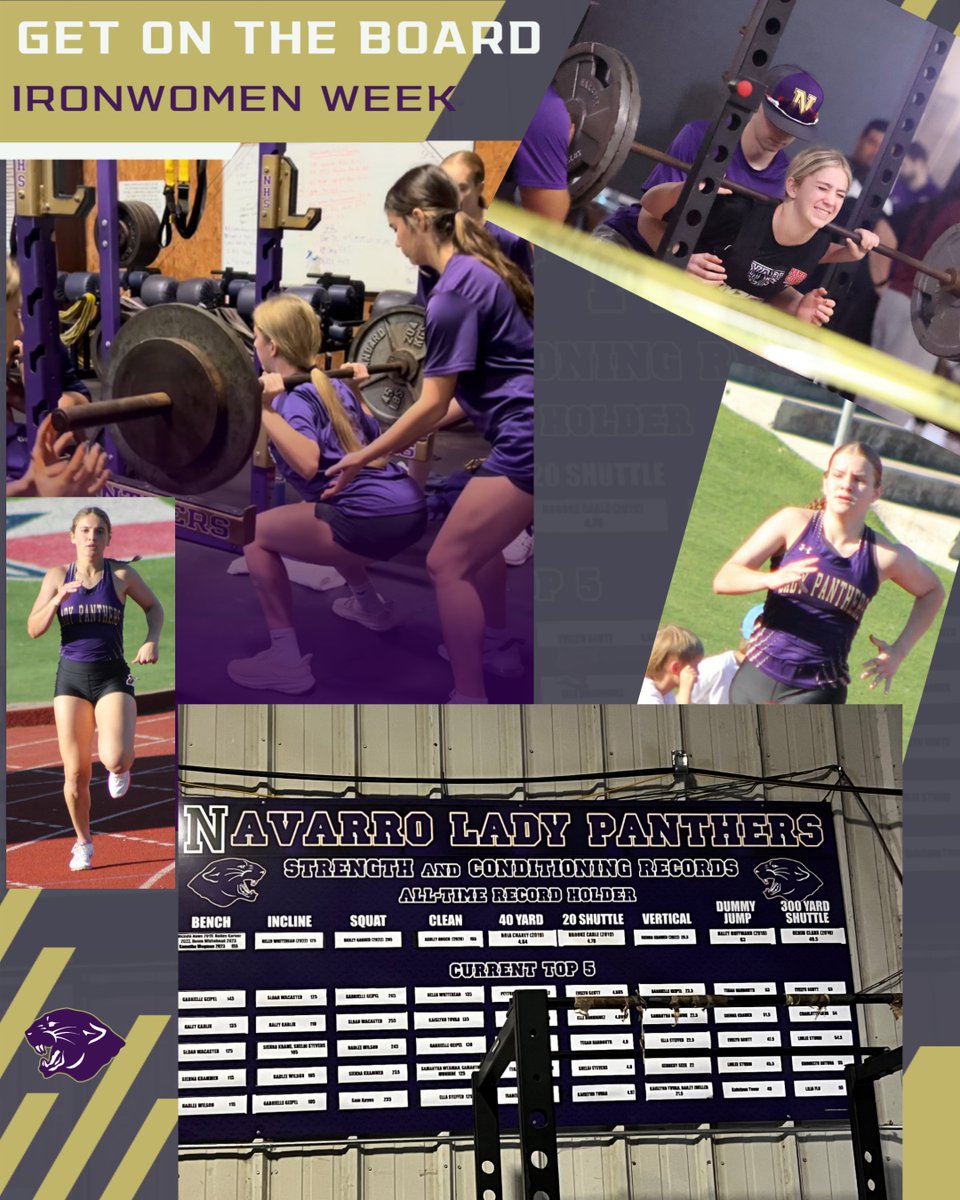 Navarro Volleyball tweet media