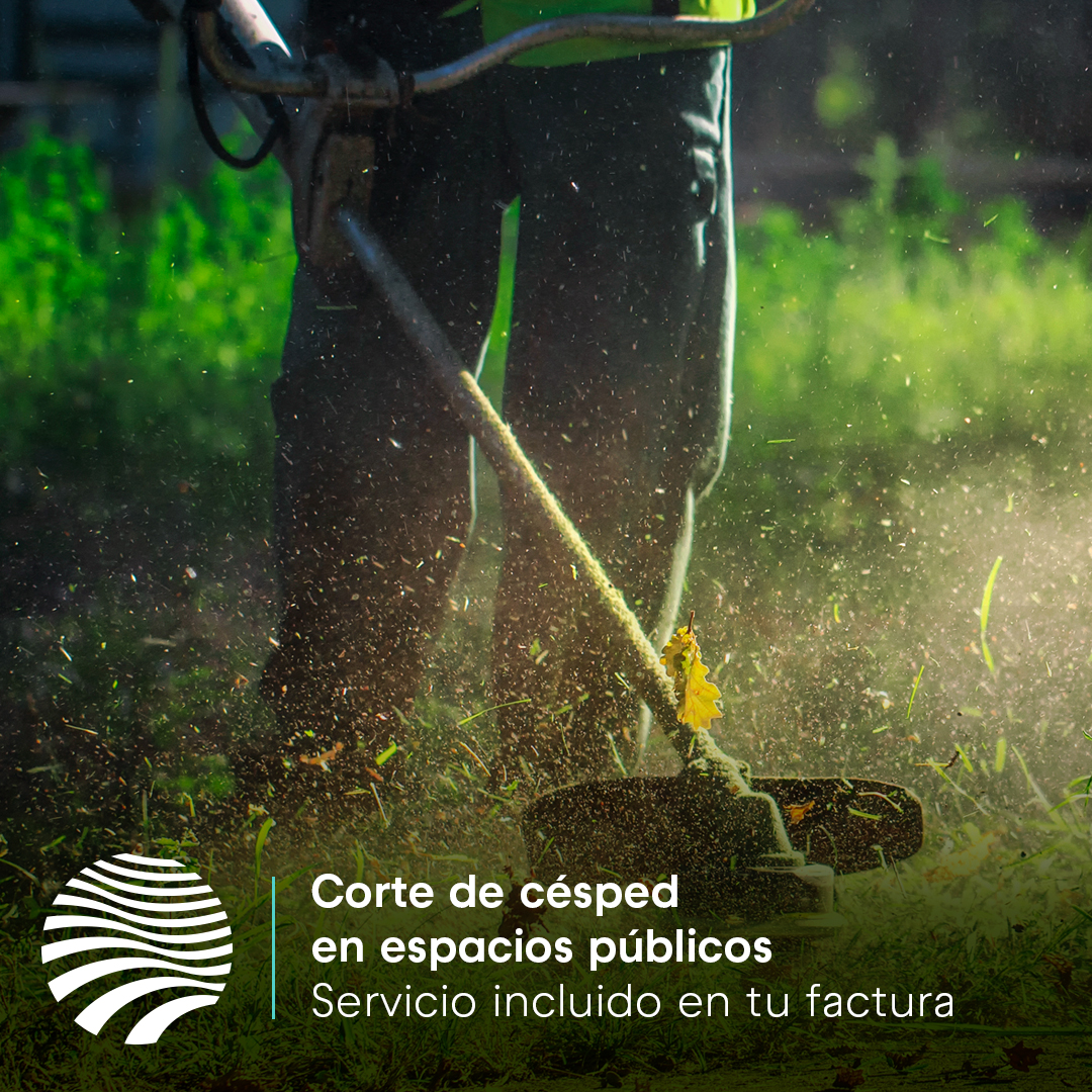 📷 El pasto o césped crece día a día y es necesario mantenerlo en una medida que nos ayude a usarlo para hacer ejercicio, divertirnos, pasear a nuestra mascota o jugar con nuestros hijos.