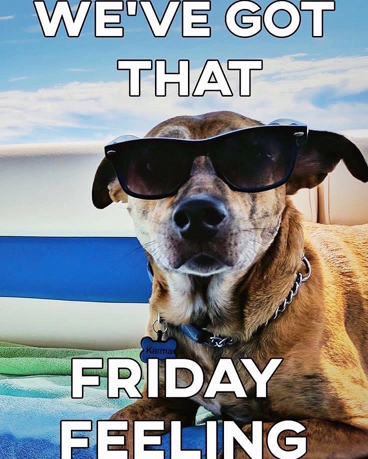 Happy Friday y’all!