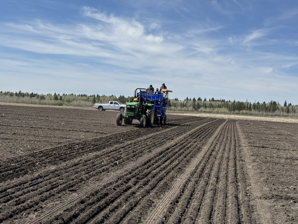 We were all very excited for seeding! Started our advanced yield trials on a beautiful day. 
Fourth year since we are using <a href="/westerngrains/">WGRF</a> funded seeder.