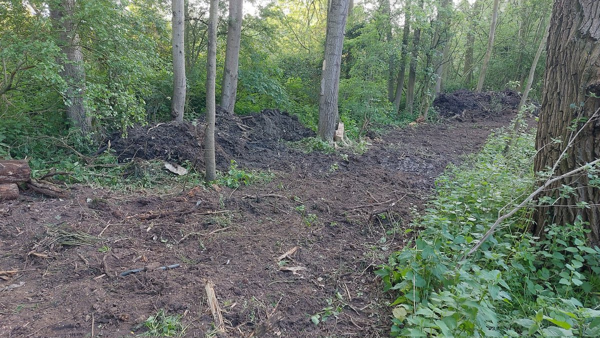 Absolutely furious 🤬 this evening to see 80-100m of bank side vegetation bulldozed at Milton Country Park. The management team should be ashamed as birds would definitely be on nests around this woodland pool in the middle of May @greenarteries @SouthCambs @markrwilliamson