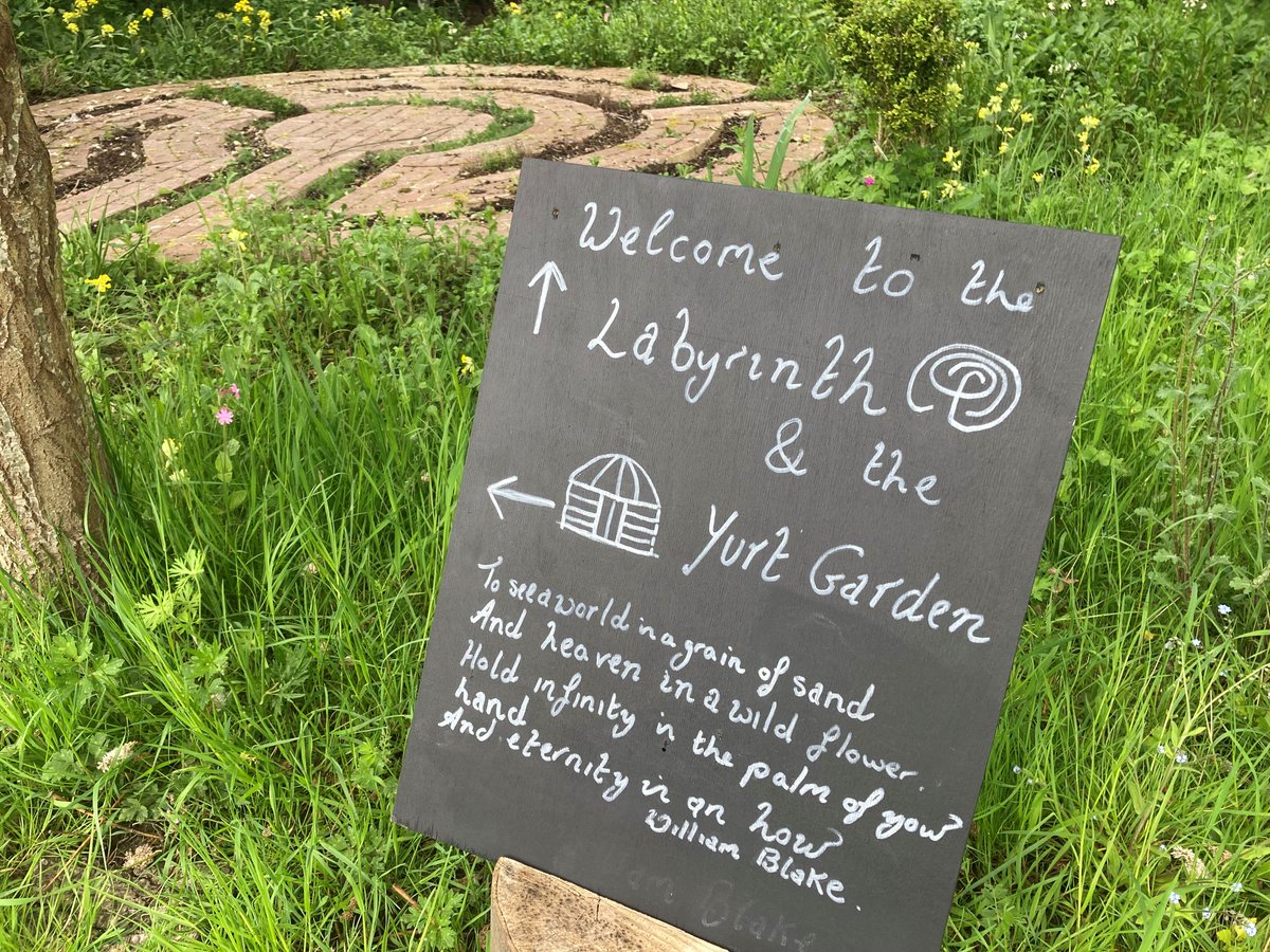 Lindengate tweet media