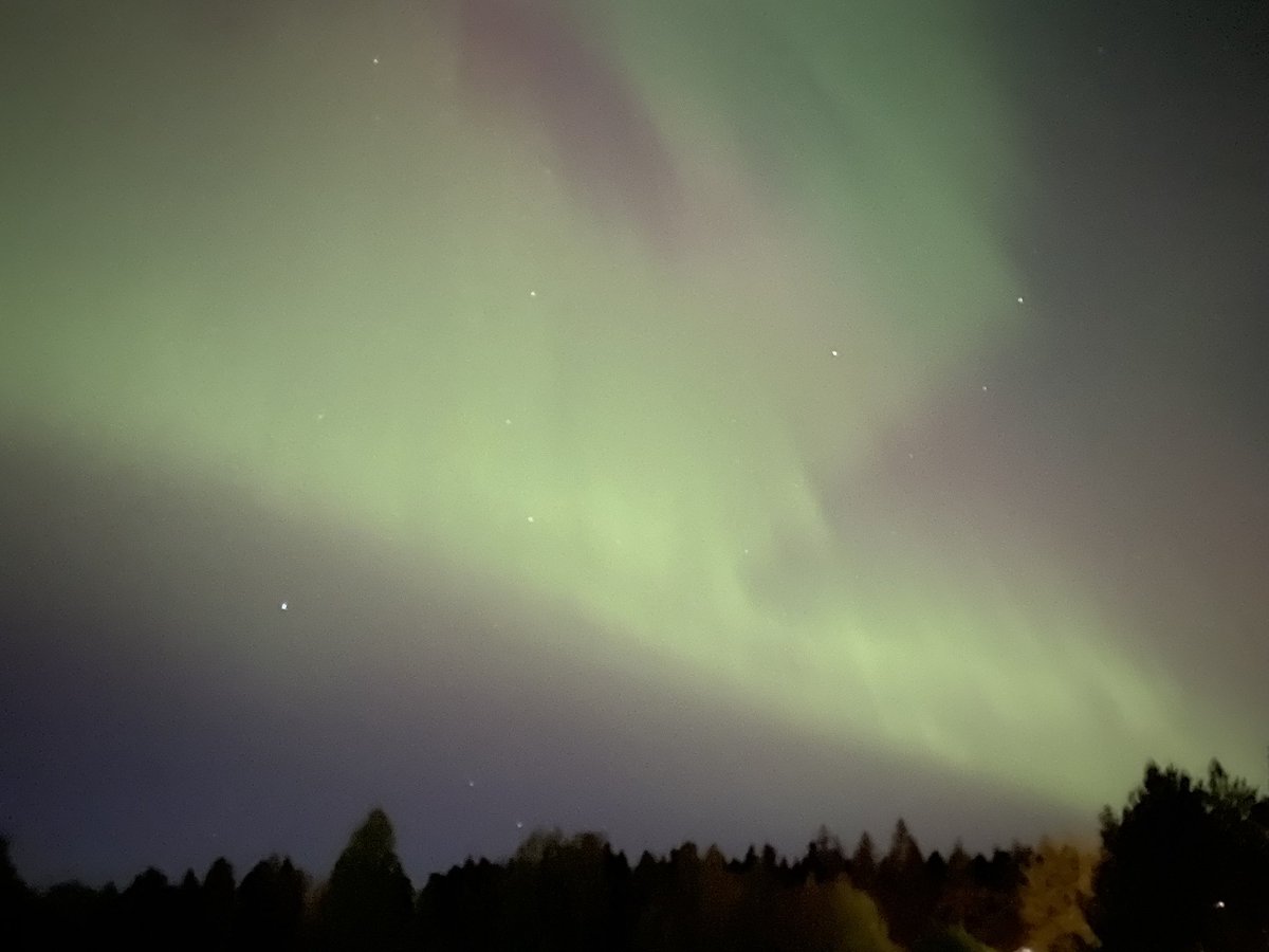 MaraPinka's tweet photo. Tviteris iedvesmoja izlīst no migas palūkot. Rozā vēl nebija redzēts. Ogre no plkst. 00:30-00:50 https://t.co/HnMVkbKgoF