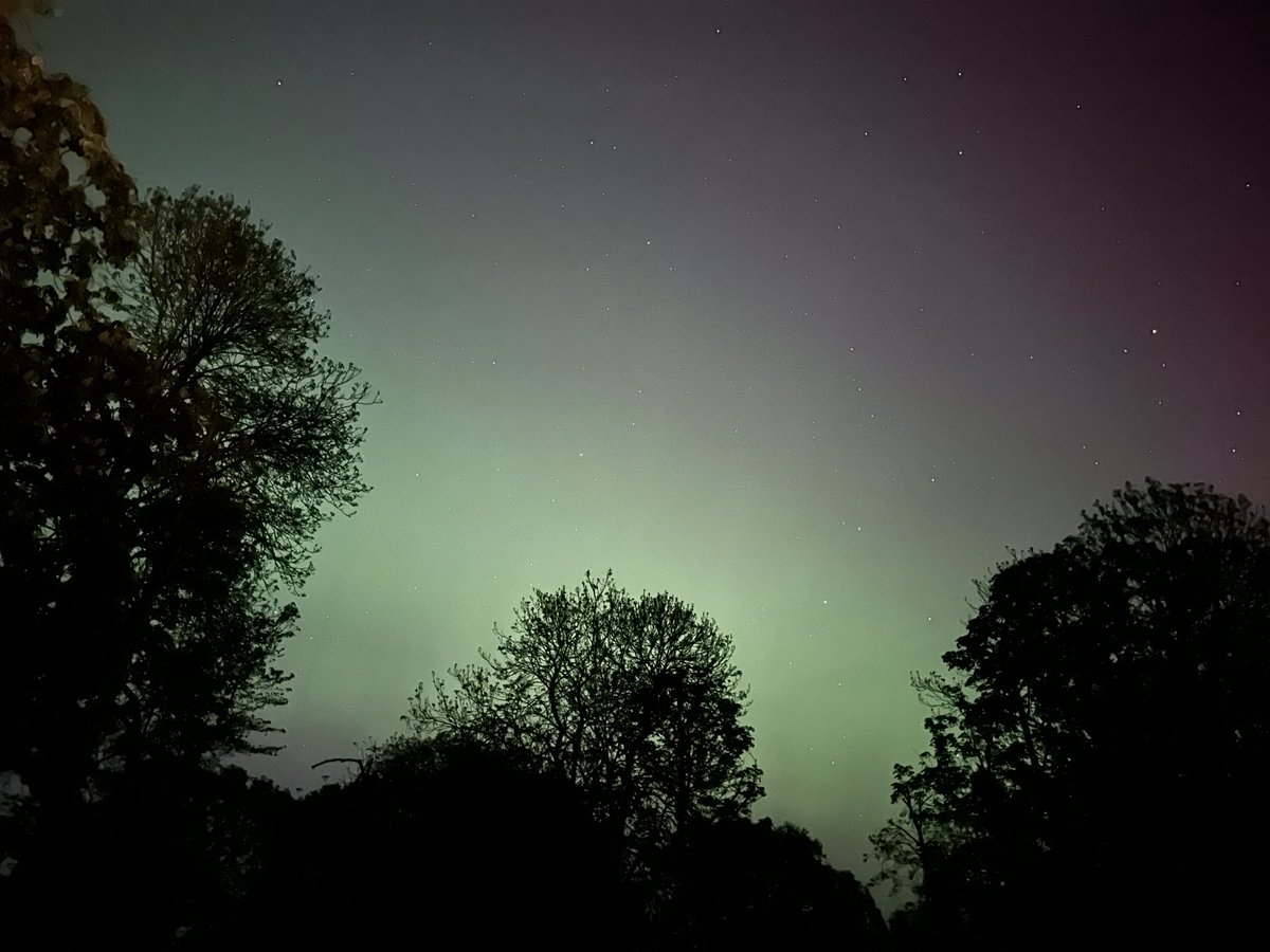 David Whiteley tweet media