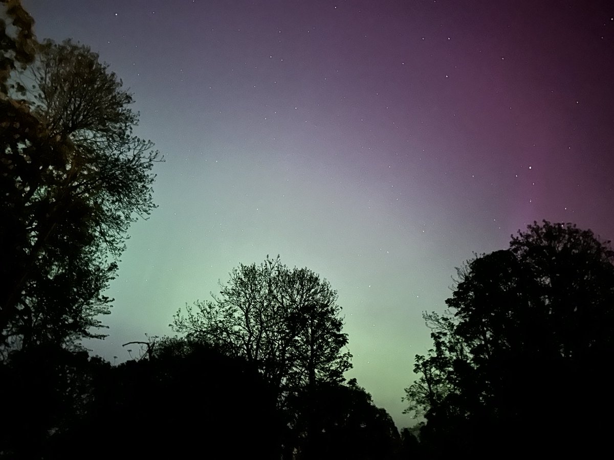 David Whiteley tweet media