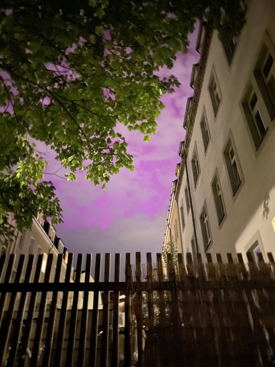 Ah , ich bin so happy dass ich das mal erleben durfte 🙏❤️! #Polarlichter #Dresden #Deutschland