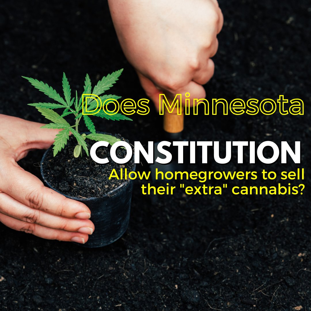 Constitutional clash: Lawsuit navigates Minnesota's cannabis regulations. ⚖️🌿 #LegalBattle #CannabisLaw highat9news.com