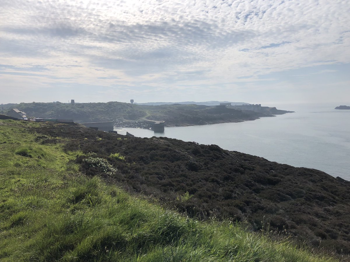 Fairly quiet at Amlwch but I enjoyed sitting in the sun 12 Manx 25 Guillemot 2 B Guillemot 1 Shag 1 Raven 2 Whitethroat 1 Stonechat 4 Swallow 1 Porpoise Popped into Dulas and picked up 65 Shelduck 1 Curlew and 2 Whimbrel @AngBirdNews